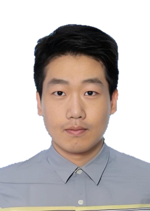 日本人妻av