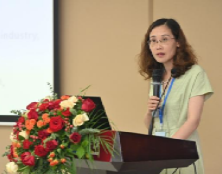 日本人妻av